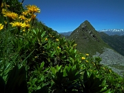 55 Pizzo del Vento (2235 m.)...